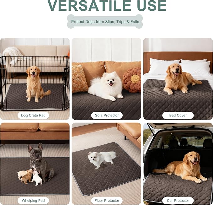 Eterish Reusable Washable Pee Pads for Dogs Large/Extra Large 36'' x 41'' 2 Pack, Absorbent Pet Puppy Dog Training Pads Non-Slip, Waterproof Whelping Potty Pads for Dogs Leak-Proof