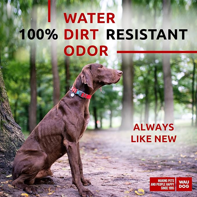 WAUDOG Waterproof Dog Collar Airtag Holder QR Tag Small Medium Large Dogs | Water and Dirt Resistant, Quick Dry QR Pet Tag Adjustable Durable Comfort for Male and Female Dogs Outdoor Walking Training