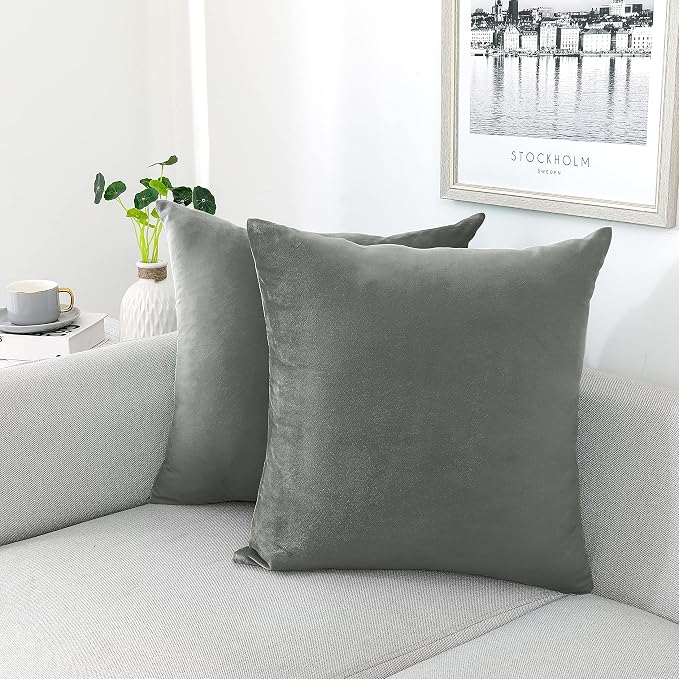 NiNi ALL Grey Velvet Throw Pillow Covers 20x20 Pack of 2 Decorative Couch | Soft Solid Boho Cushion Squar Pillow Cases for Chair Sofa Bedroom Farmhouse Living room Modern Luxury Home Decor Christmas