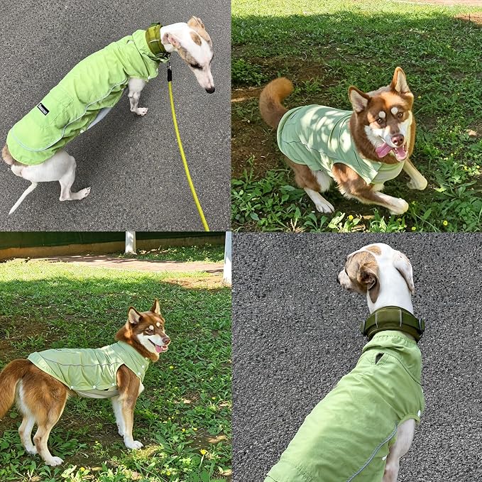 Dog Sun Protection Cooling Shirt,UPF 50+ UV Protection,Lightweight Breathable Cooling Vest, Sunblock Summer Clothes for Dogs (Mint Green, Large, Side Snap-Buttons)