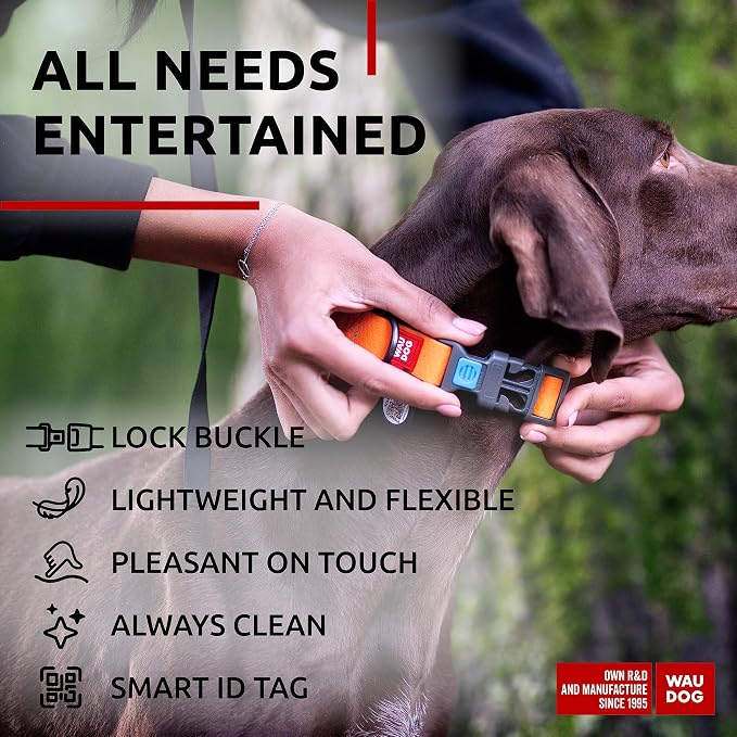 WAUDOG Waterproof Dog Collar Airtag Holder QR Tag Small Medium Large Dogs | Water and Dirt Resistant, Quick Dry QR Pet Tag Adjustable Durable Comfort for Male and Female Dogs Outdoor Walking Training