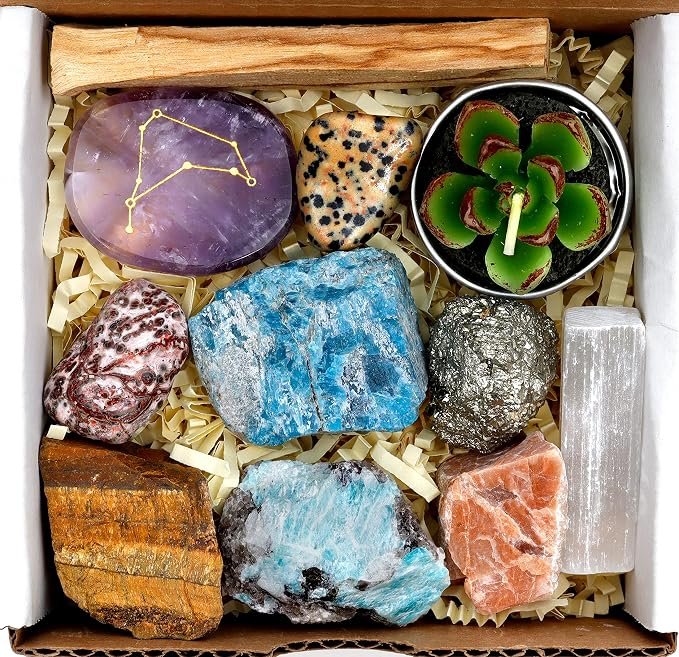 DANCING BEAR Capricorn Zodiac Healing Crystals Gift Set (14 Pc): 9 Stones, 18K Gold-plated Constellation Necklace, Meteorite, Succulent Candle, Palo Santo Smudge stick, and Info Guide, Made in the USA