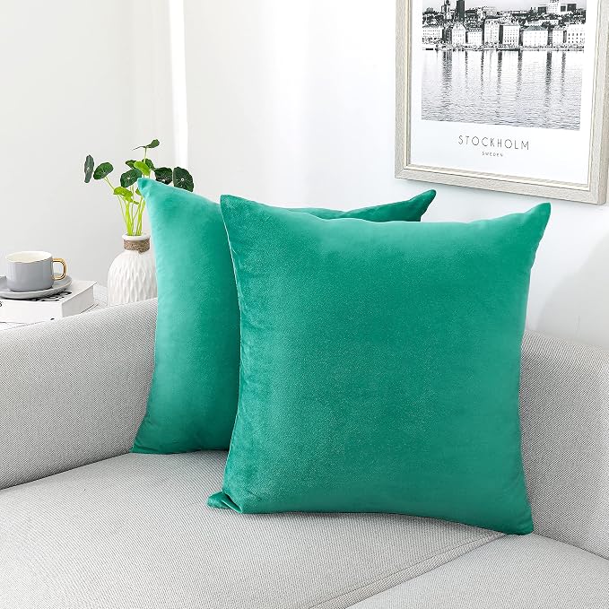 NiNi ALL Aqua Green Velvet Throw Pillow Covers 20x20 Pack of 2 Decorative | Couch Soft Solid Boho Cushion Squar Pillow Cases for Chair Sofa Bedroom Farmhouse Living room Modern Luxury Home Christmas