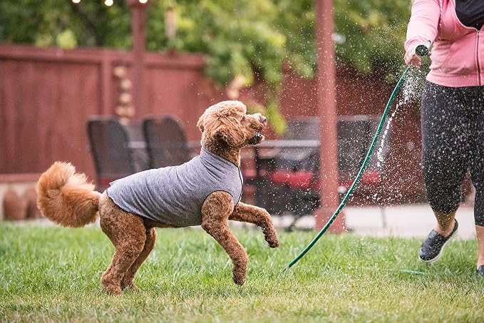 Sun Shield Dog Tee – T-Shirt for Canines – UV Protection, Pet Anxiety Relief, Wound Care – Protects Against Foxtails, Aids Alopecia - Machine Washable, All Season – Size 2 – Grey