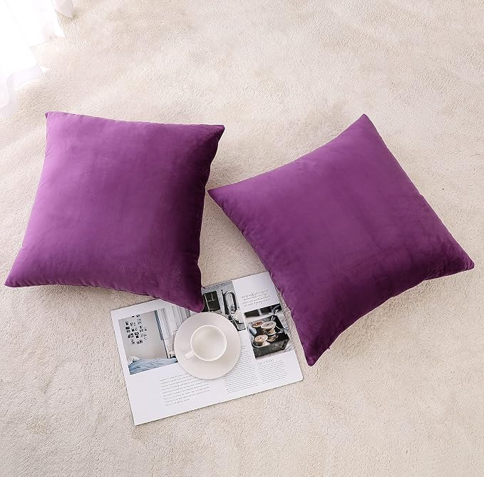 NiNi ALL Decorative Throw Pillow Covers Pack of 2, Velvet Throw Pillow Cases for Couch Pillows Cover Bedroom Living Room Outdoor, Pillow Covers 18x18 Inch Purple