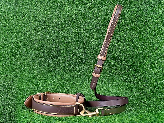 Airtag Luxury Real Leather | Genuine Leather Soft Padded Dog Collar for Medium Large Dogs | Leather with Anti -Rust Hardware (Size - L) Fits Neck 18, 19, 20 & 21 inches