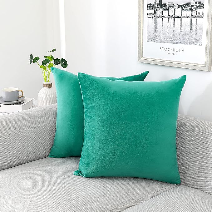 NiNi ALL Aqua Green Velvet Throw Pillow Covers 22x22 Pack of 2 Decorative | Couch Soft Solid Boho Cushion Squar Pillow Cases for Chair Sofa Bedroom Farmhouse Living room Modern Luxury Home Christmas