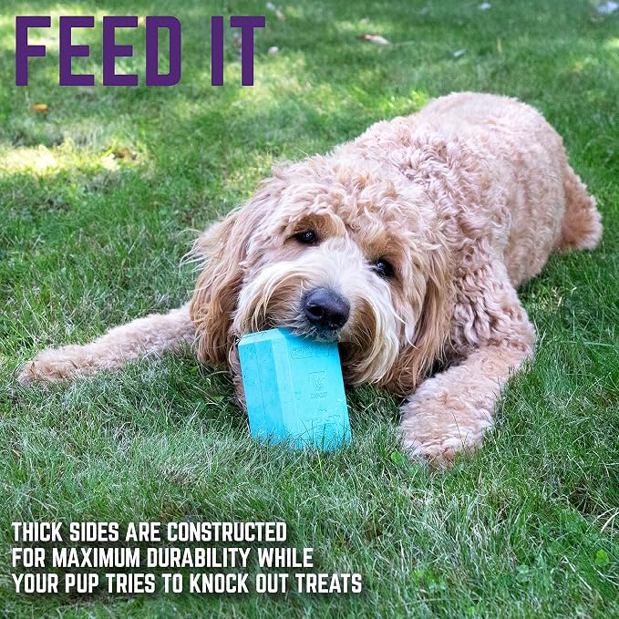 Chew King Premium Treat Dog Toy, Large, Extremely Durable Natural Rubber Fillable Toy Collection, Frozen Feeding