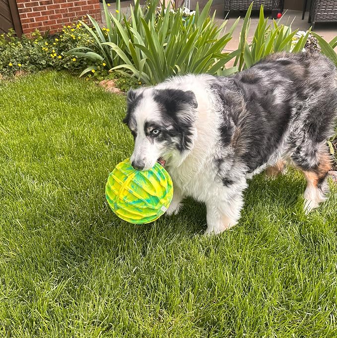 KONG FlexBall Interactive Fetch Toy, Floats in Water, for X-Large Dogs