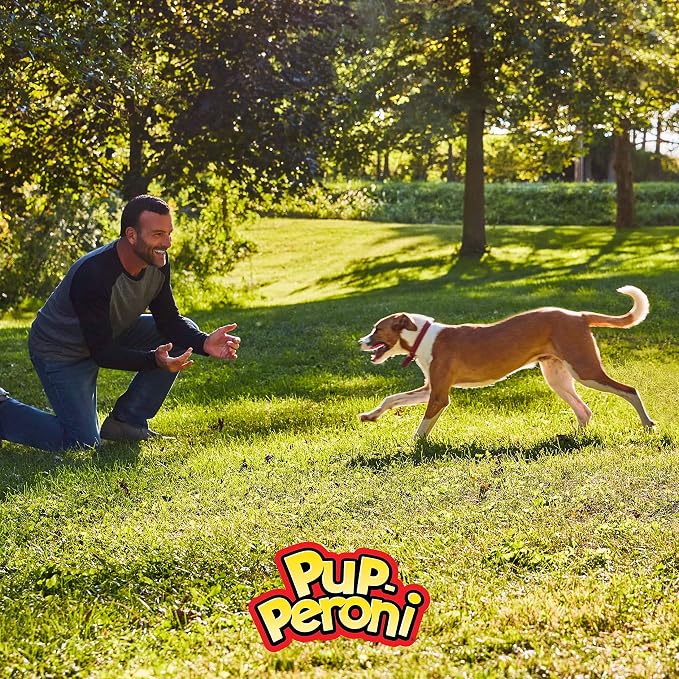 Pup-Peroni Dog Treats, Original Beef Flavor, 38 Ounce, Made with Real Beef (Pack of 2)