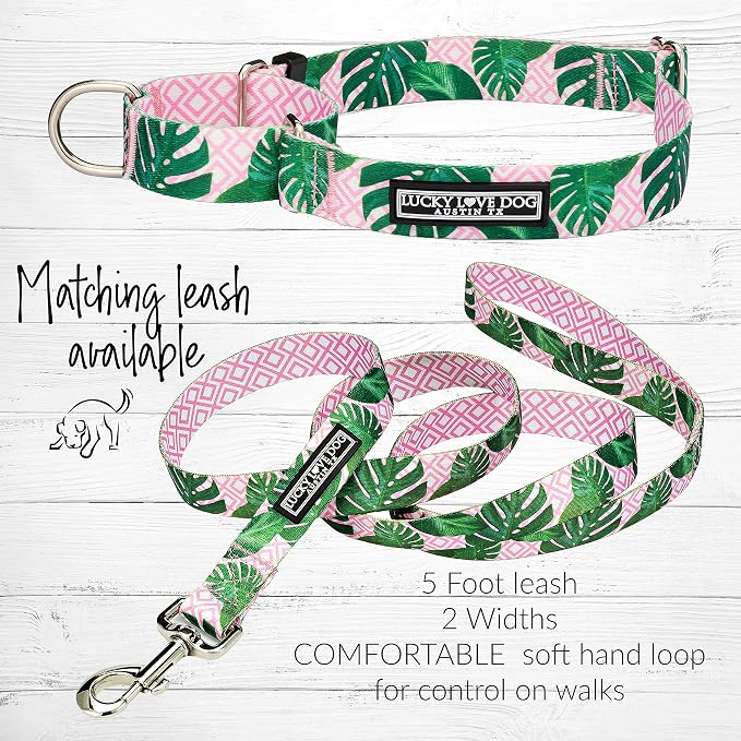 Lucky Love Dog Martingale Collar for Medium Dogs No Slip – Laguna, Medium