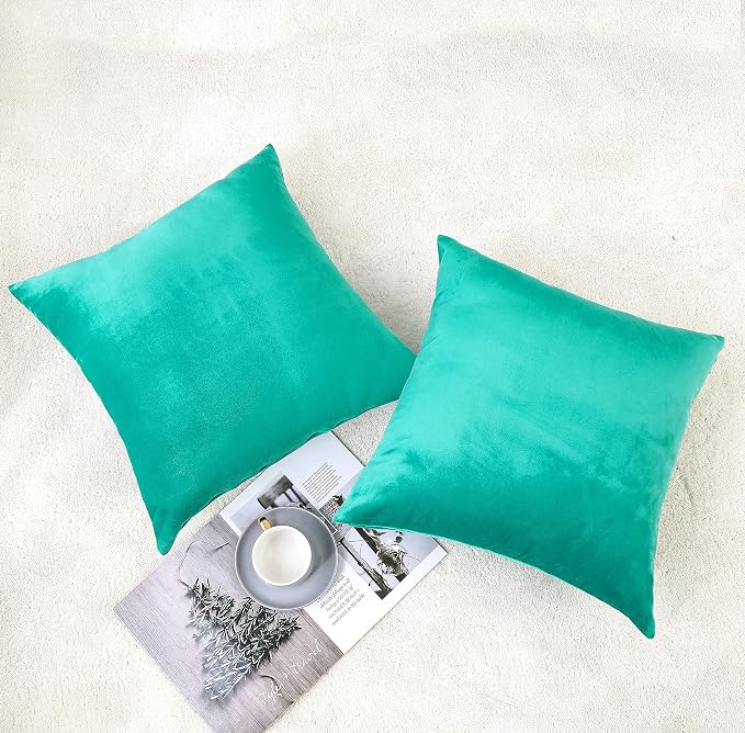 NiNi ALL Aqua Green Velvet Throw Pillow Covers 20x20 Pack of 2 Decorative | Couch Soft Solid Boho Cushion Squar Pillow Cases for Chair Sofa Bedroom Farmhouse Living room Modern Luxury Home Christmas
