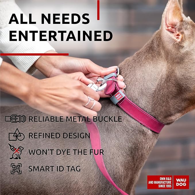 WAUDOG Long Lasting Leather Dog Collar for Large Dogs, Medium & Small Dogs - Adjustable Classic Puppy Collars for Large Breed Dogs - Boy & Girl Dog Collars with Durable Buckle, D-Ring & QR Dog Tag