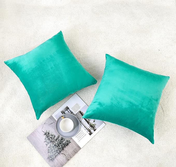 NiNi ALL Aqua Green Velvet Throw Pillow Covers 18x18 Pack of 2 Decorative | Couch Soft Solid Boho Cushion Squar Pillow Cases for Chair Sofa Bedroom Farmhouse Living room Modern Luxury Home Christmas