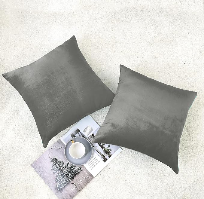 NiNi ALL Grey Velvet Throw Pillow Covers 20x20 Pack of 2 Decorative Couch | Soft Solid Boho Cushion Squar Pillow Cases for Chair Sofa Bedroom Farmhouse Living room Modern Luxury Home Decor Christmas