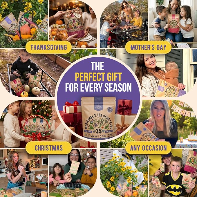 35 Medicinal & Tea Herb Seeds Variety Pack for Indoor & Outdoors. 16,335+ Non-GMO Heirloom Garden Seeds: Anise, Bergamot, Borage, Cilantro, Chamomile, Dandelion, Rosemary Seeds & More