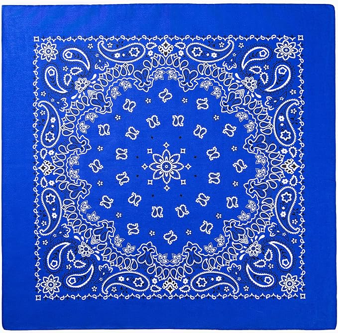 Gift Packaging Bandana for Men Women - 100% Cotton, Paisley, 22x22 In, 1 Pack - Large Bandanna Handkerchief Cowboy Hanky