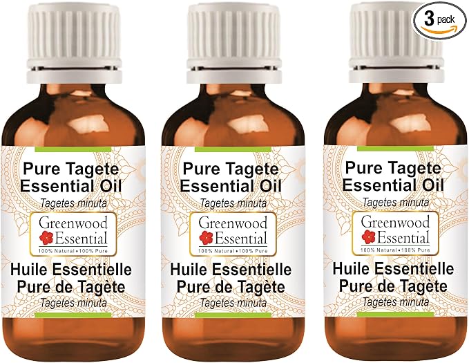 Greenwood Essential Pure Tagete Essential Oil (Tagetes minuta) Steam Distilled (Pack of Three) 100ml X 3 (10.1oz)