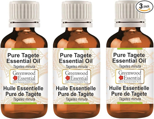 Greenwood Essential Pure Tagete Essential Oil (Tagetes minuta) Steam Distilled (Pack of Three) 100ml X 3 (10.1oz)