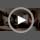 Cat Tunnel,Cat Tunnels for Indoor Cats,Tree Trunk Play Toy for Large Cats、Kitten and Other Small Animals to Chase and Play,Foldable Easy to Store,Cat Tube Toys Long 59"